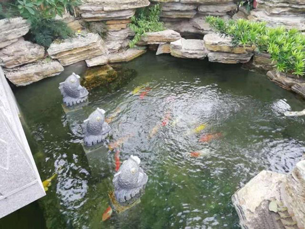 別墅花園設(shè)計里添加個魚池設(shè)計怎么樣？