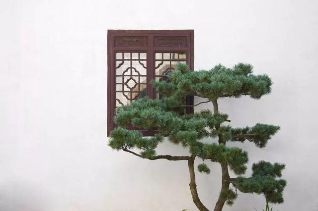 驚艷世界的中式庭院，美哭了！